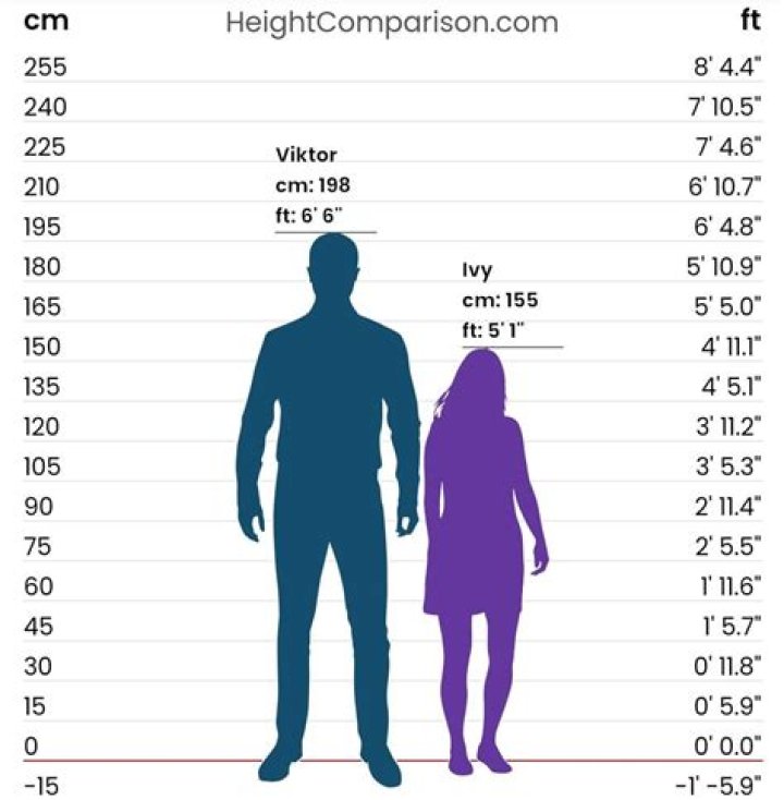 158cm Height in Feet: A Comprehensive Guide