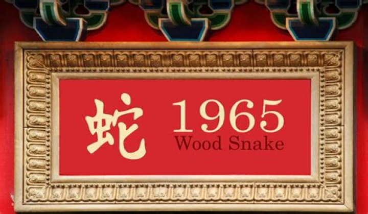 1965: The Year of the Snake - Insights, History, and Cultural Significance