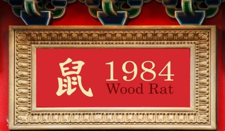 1984 Wood Rat: A Comprehensive Guide to Its History, Habitat, and Significance