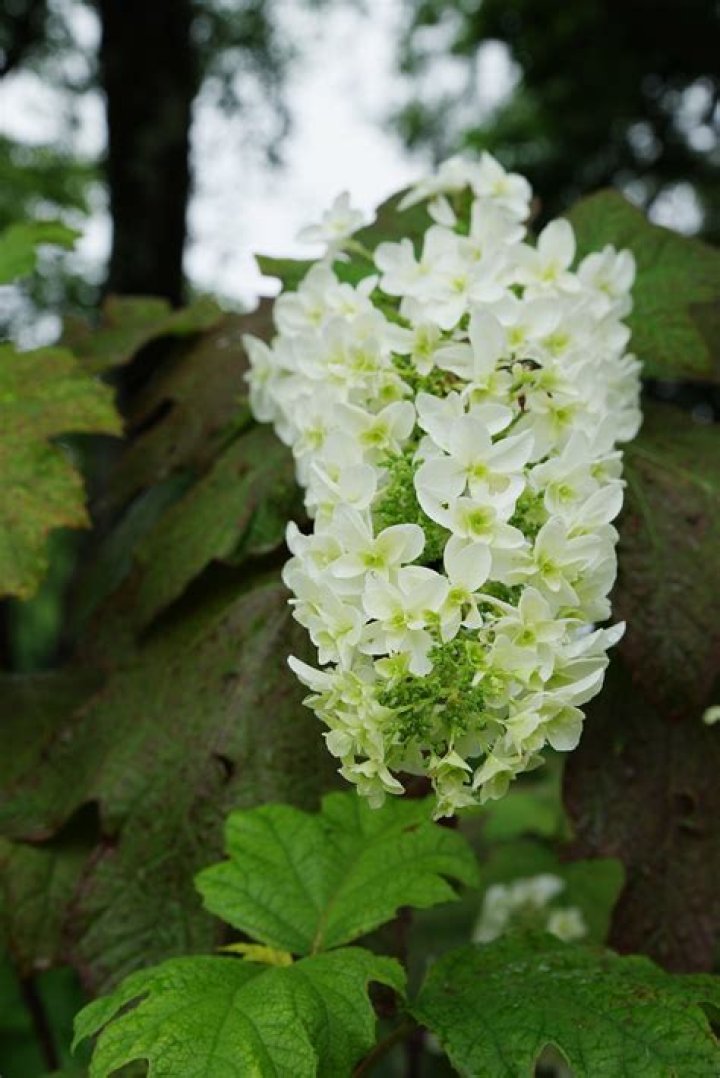 Understanding the Significance of 5184575434: A Comprehensive Guide