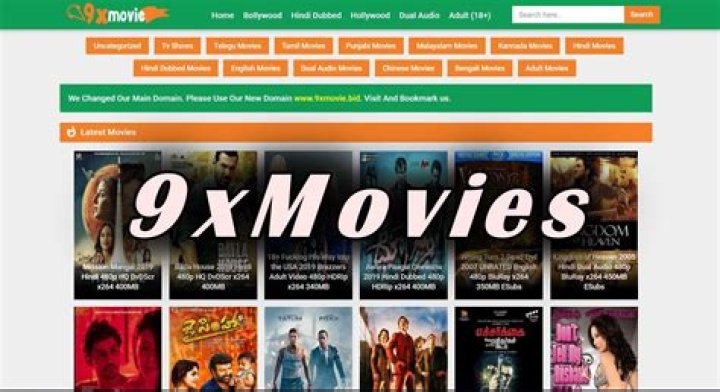 9x Movies Hub: Your Ultimate Destination for Entertainment