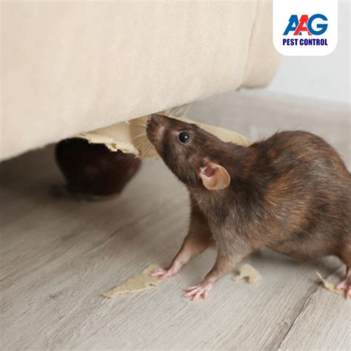 Unlocking the Secrets of aag maal.co: Your Ultimate Guide