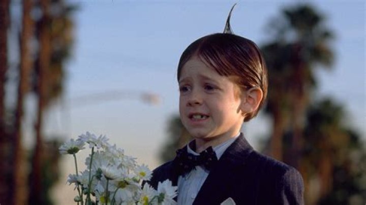 Alfalfa from The Little Rascals: A Nostalgic Look at a Beloved Character