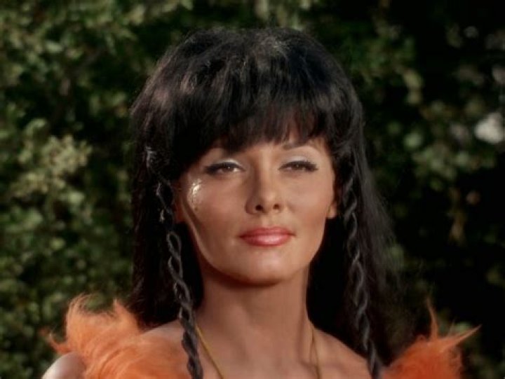 Andrea Dromm Pictures: A Comprehensive Look at the Iconic Photographer&rsquo;s Works