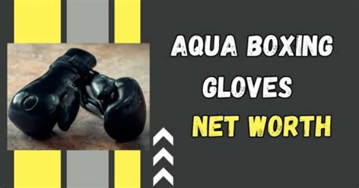 Aqua Boxing Gloves Net Worth: A Comprehensive Guide to the Brand's Success