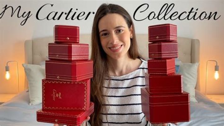 Are the Cartier Family on YouTube Related? Unveiling the Truth Behind the Famous Creators