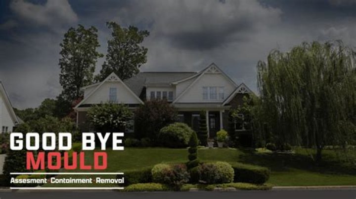 Attic Mold Removal Near Me: A Comprehensive Guide to Protecting Your Home and Health