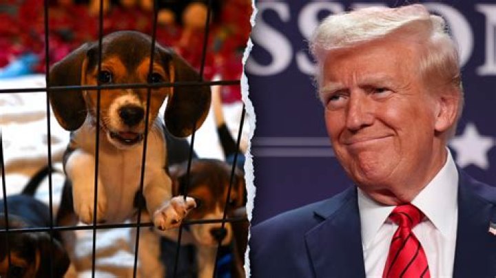 Barron Trump and the Controversy Surrounding Animal Cruelty Allegations