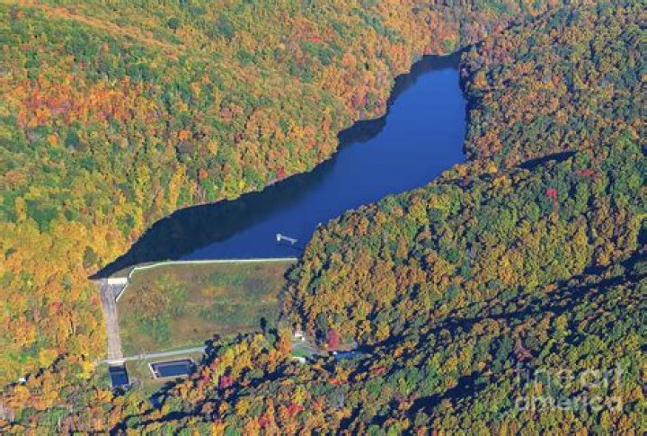 Bee Tree Dam NC: A Comprehensive Guide to Nature's Hidden Gem