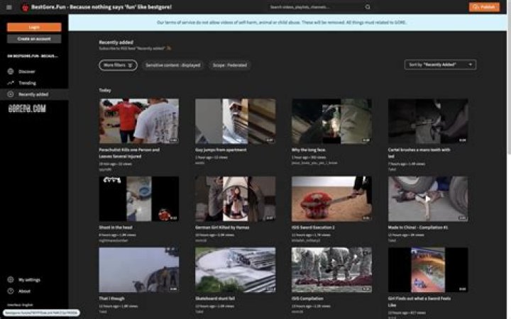 Exploring Bestgore Fun: The Ultimate Guide to Shocking and Controversial Content