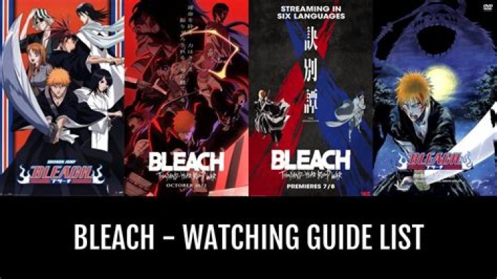 Bleach Episode Guide: Complete Series Breakdown and Insights