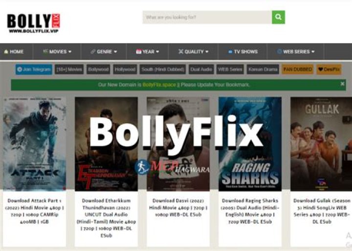BollyFlix: Your Ultimate Guide to Free Bollywood Movies and TV Shows Online
