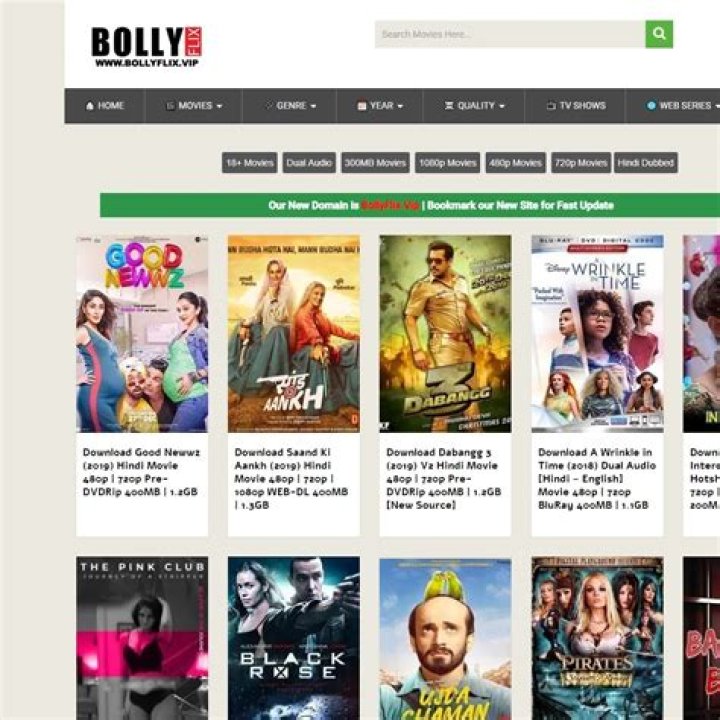 BollyFlix.to: The Ultimate Guide to Streaming Bollywood Movies Online