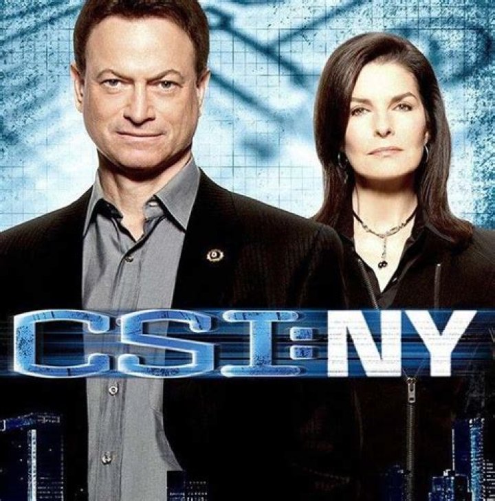 Meet the Skilled Ensemble: Cast of CSI: NY