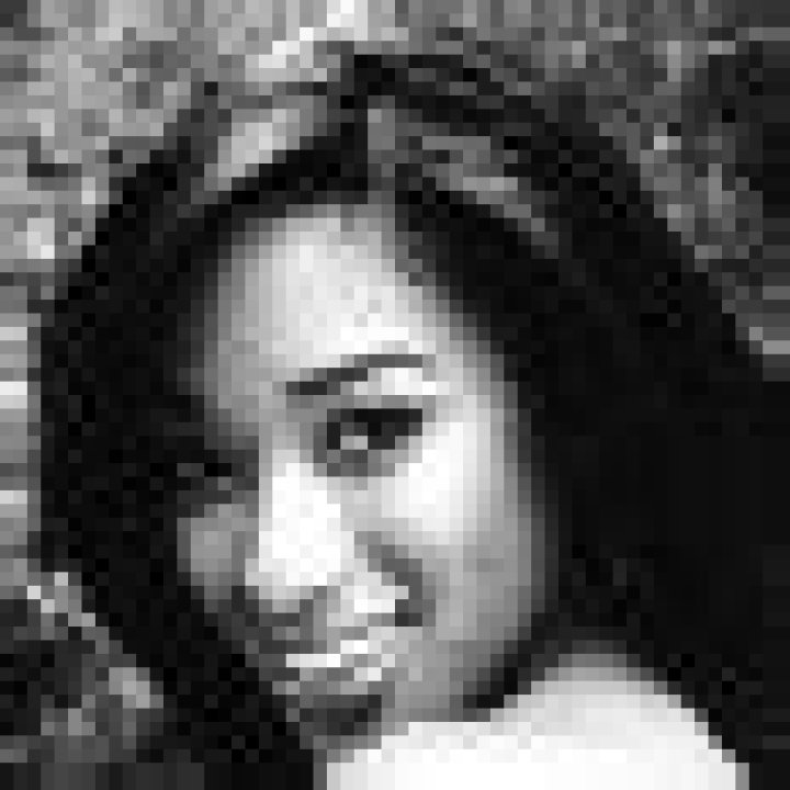 Cathy White Obituary: A Life Remembered and Celebrated