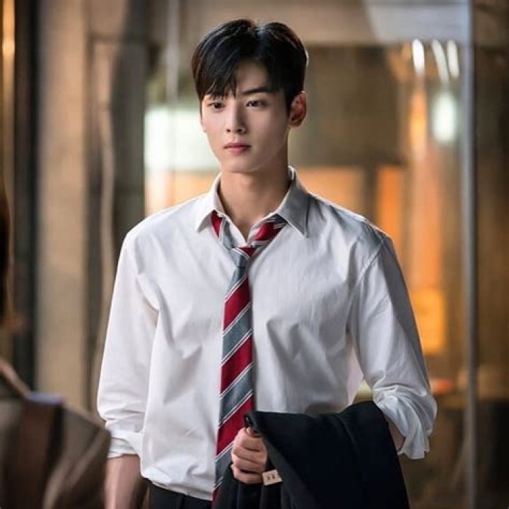 Cha Eun-Woo Biodata: The Rising K-Pop Star and Actor