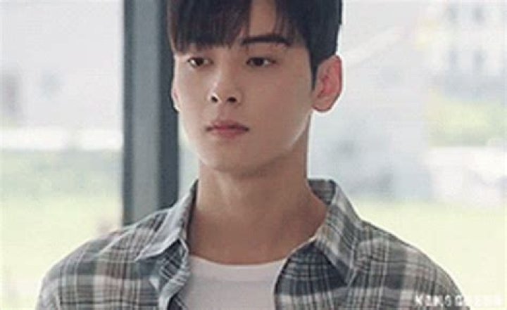 Cha Eun-woo: The Rising K-Pop Star and Actor Captivating Hearts Worldwide