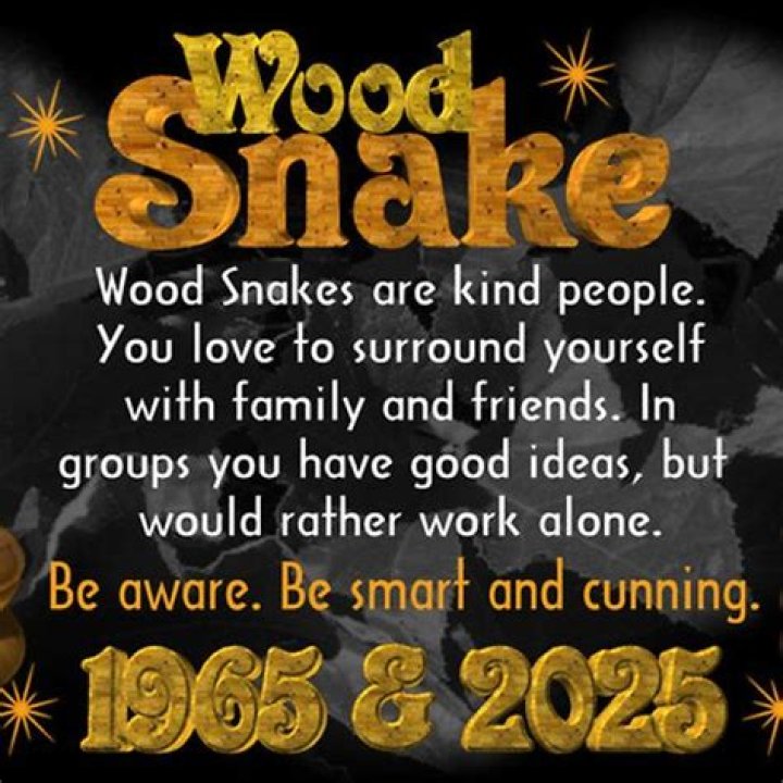 Chinese New Year 1965: The Year of the Snake and Its Cultural Significance