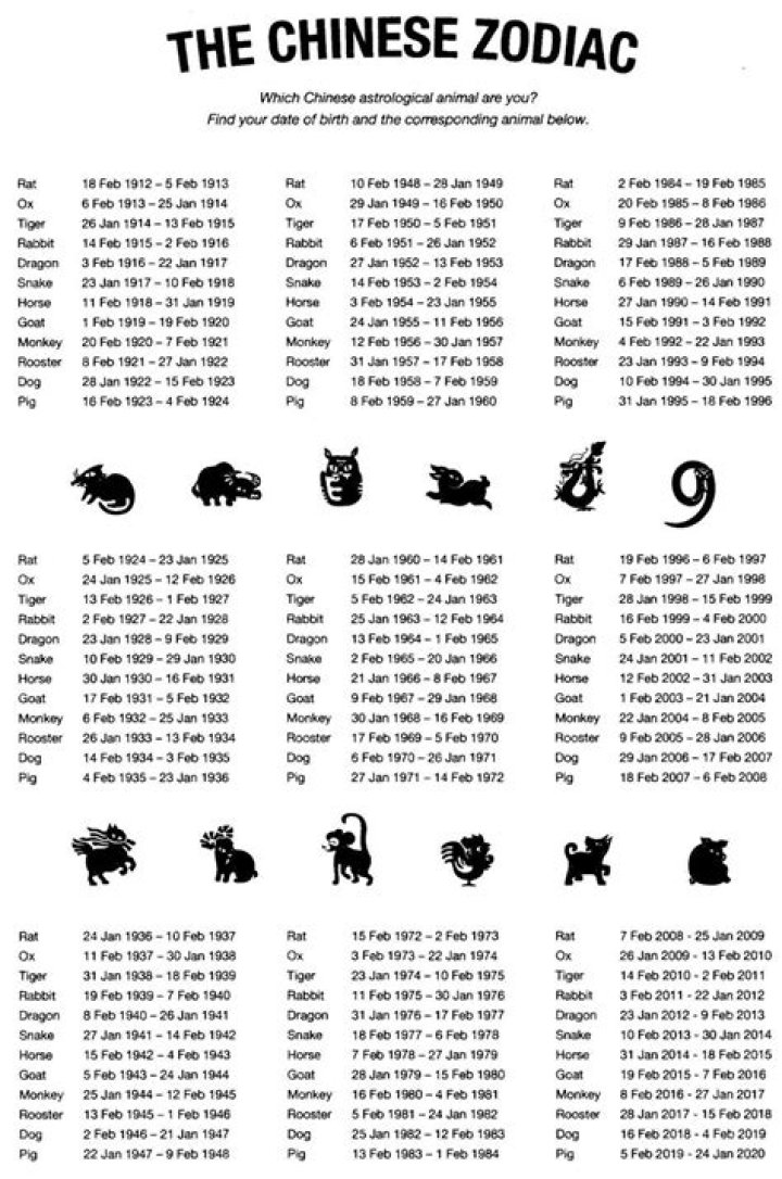 Chinese Zodiac 1965 Animal: Everything You Need to Know About the Year of the Snake