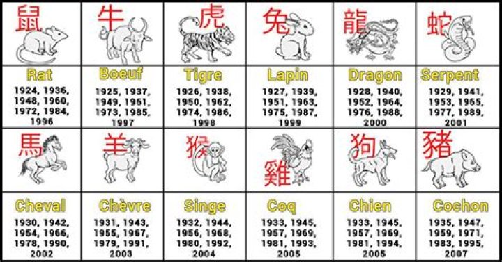 Chinese Zodiac 1975: Unveiling the Mysteries of the Year of the Rabbit