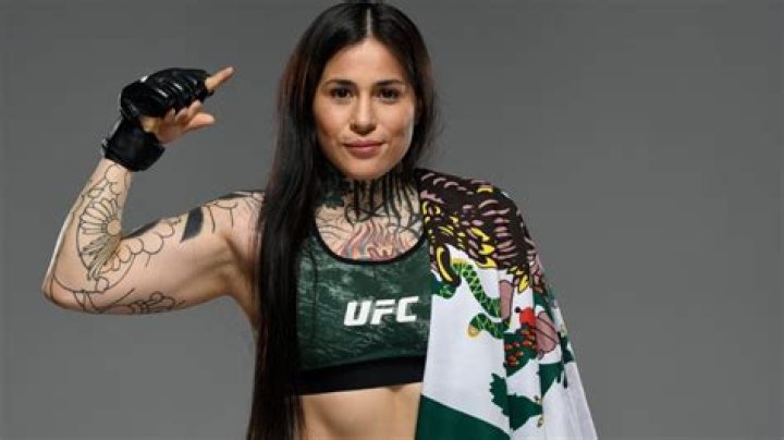 Conejo Net Worth: Unveiling the Wealth of a Rising Star