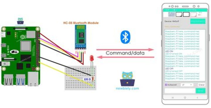 How to Connect to Raspberry Pi via SSH Over the Internet: A Comprehensive Guide
