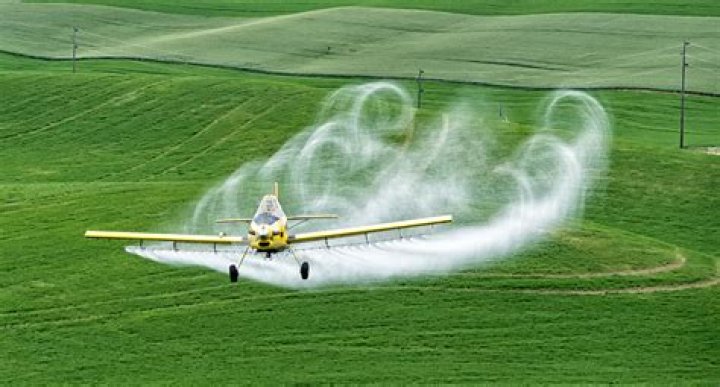 The Essential Guide to Crop Dusting: A Comprehensive Overview