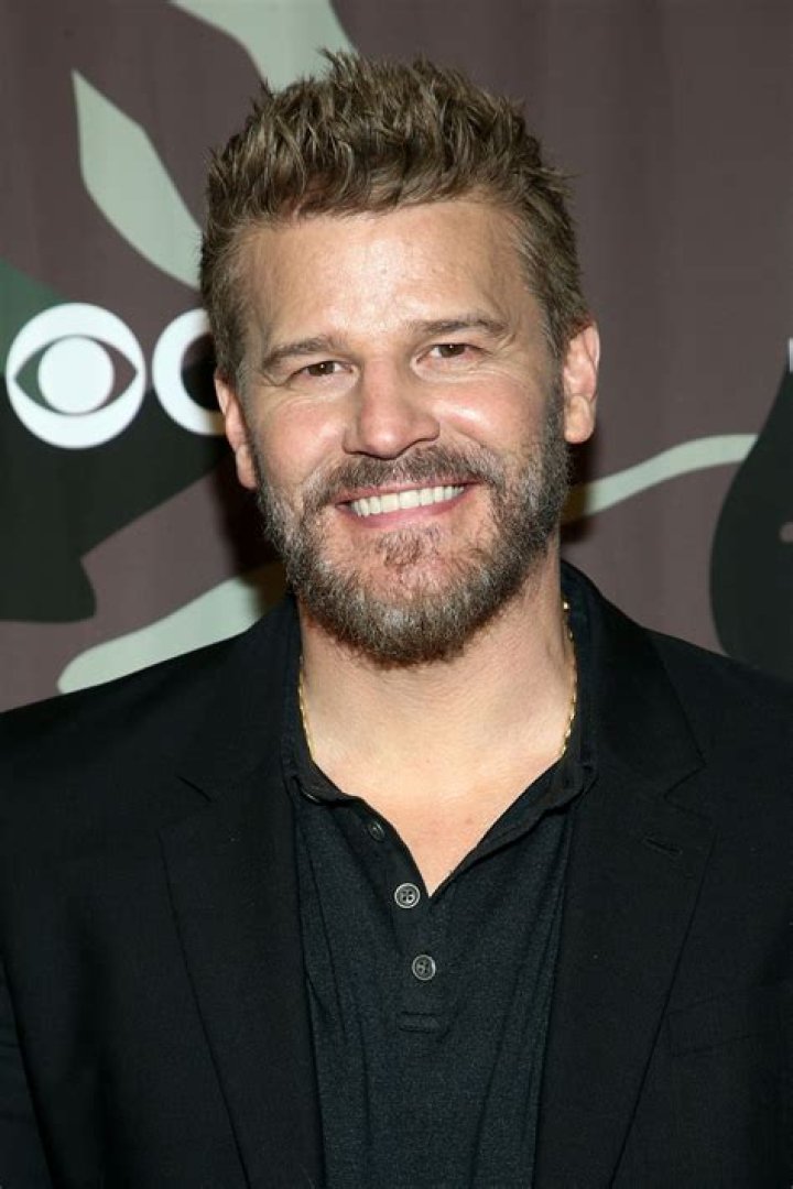 David Boreanaz: The Journey of a Versatile Actor and His Impact on Television