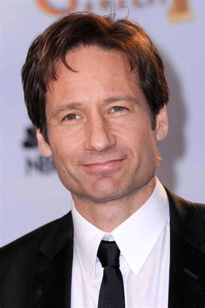 David Duchovny Movies and TV Shows: A Comprehensive Overview