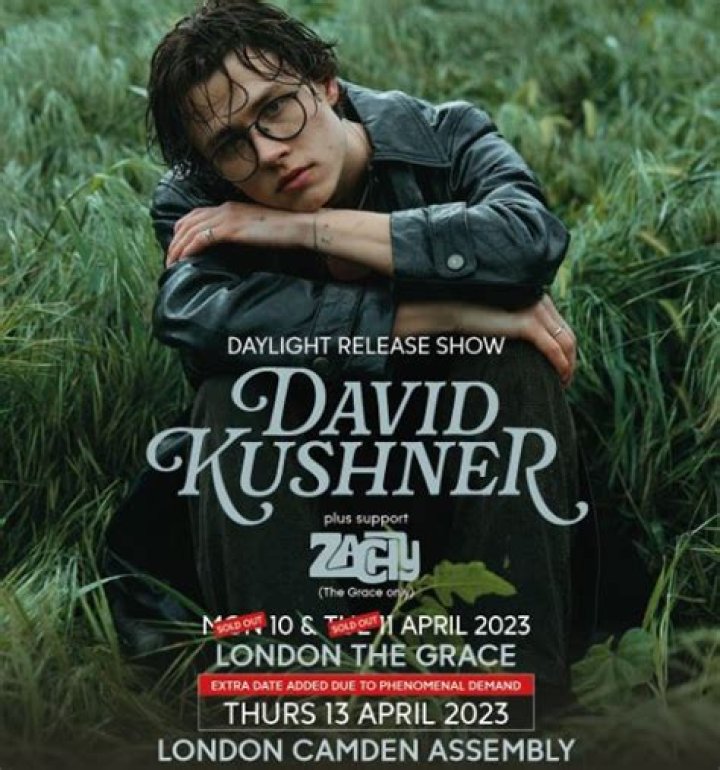 David Kushner Net Worth: A Comprehensive Guide to His Wealth and Career