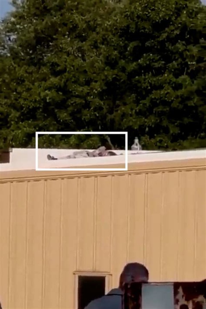 Understanding the Dead Trump Shooter: A Comprehensive Analysis