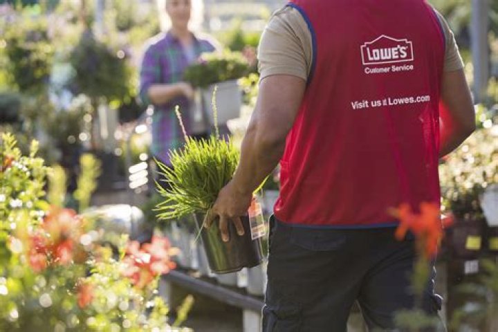 Does Lowe's Home Improvement Price Match? A Comprehensive Guide to Lowe's Price Match Policy