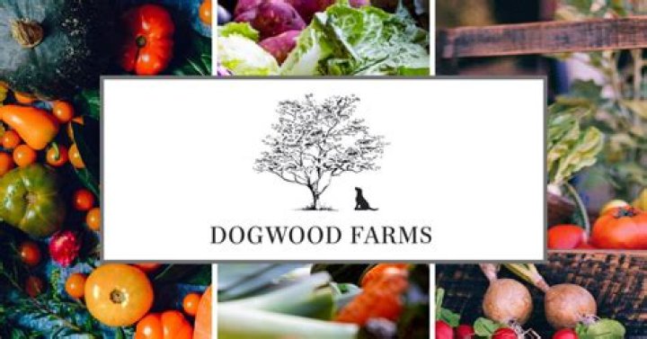 Discovering the Charm of Dogwood Farms NJ