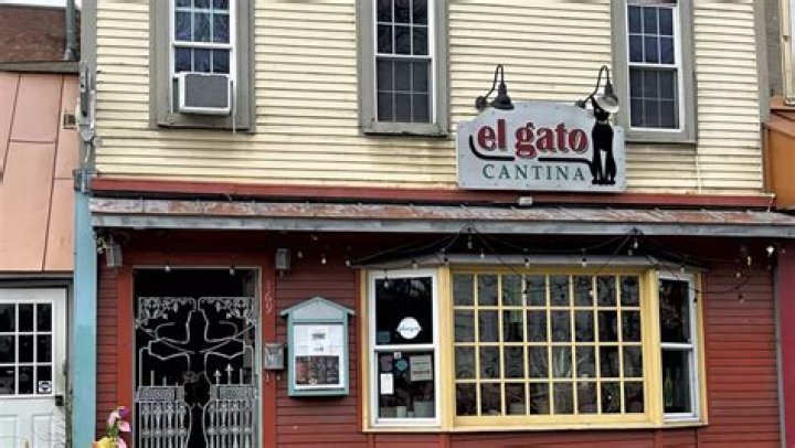 Discovering El Gato Cantina: A Culinary Journey Through Flavors