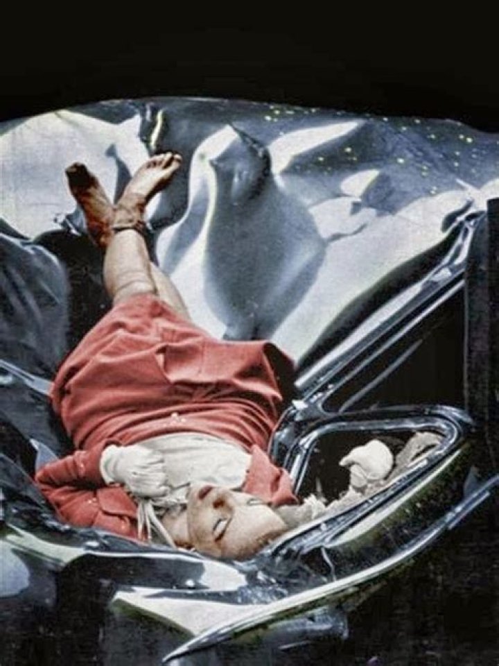 Evelyn McHale: The Enigmatic Story of the "Most Beautiful Suicide"