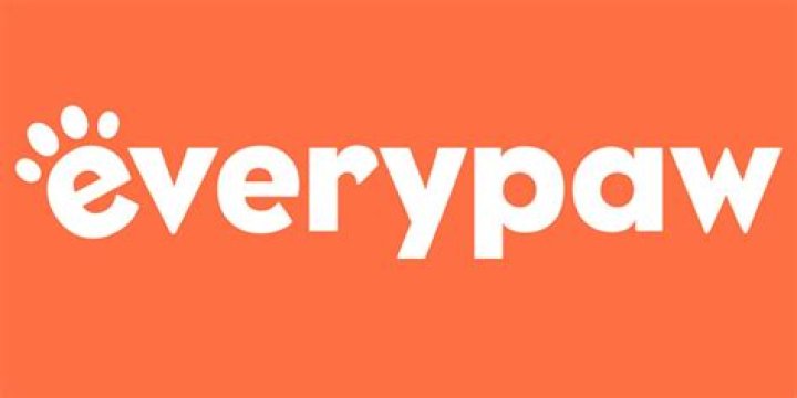 Everypaw Pet Healthcare Reviews: Comprehensive Guide to Your Pet's Wellness