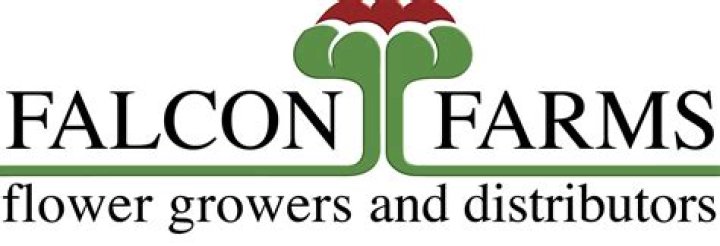 Exploring the World of Falcon Farms: A Unique Approach to Agriculture