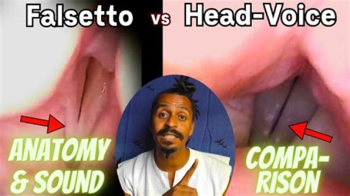 Falsetto: A Comprehensive Guide to Understanding and Mastering the Art of High-Pitched Singing