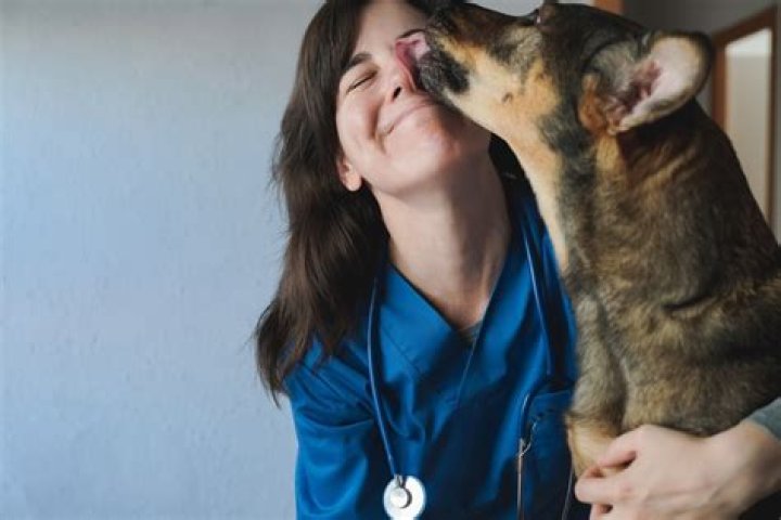 Famous Vets: Celebrating the Lives and Achievements of Influential Veterinarians