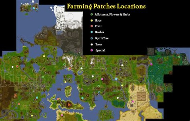 Farming Patches in Old School RuneScape: A Complete Guide