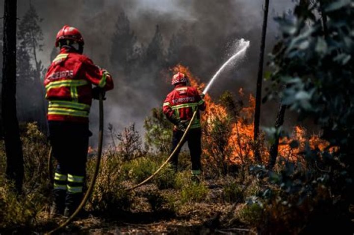Firefighters Tackle Blaze in Washington Co.: A Comprehensive Report