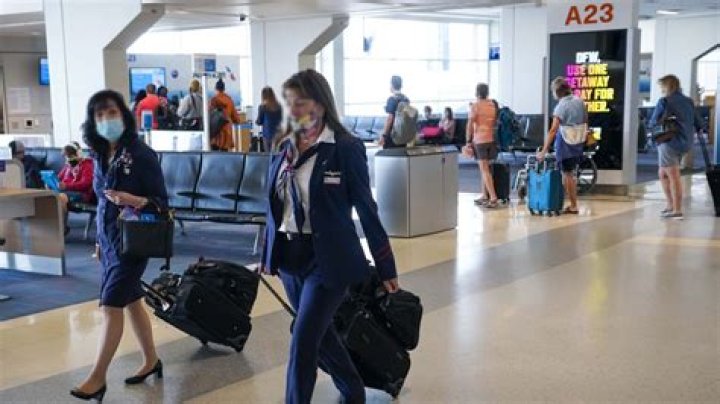 Flight Attendant Incident: Understanding the Causes, Impacts, and Solutions