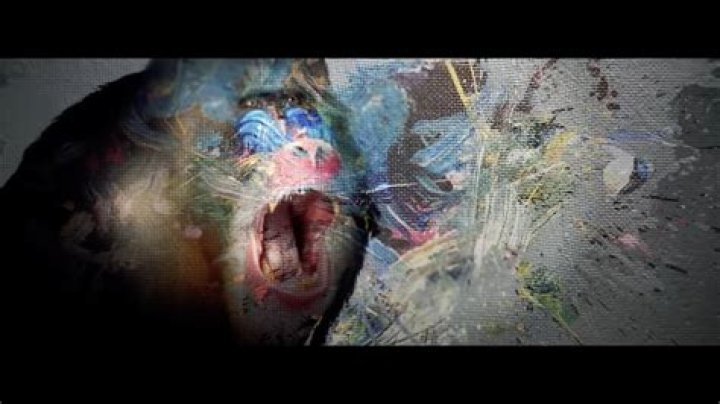 Gore Videos: Understanding the Impact, Ethics, and Legal Implications