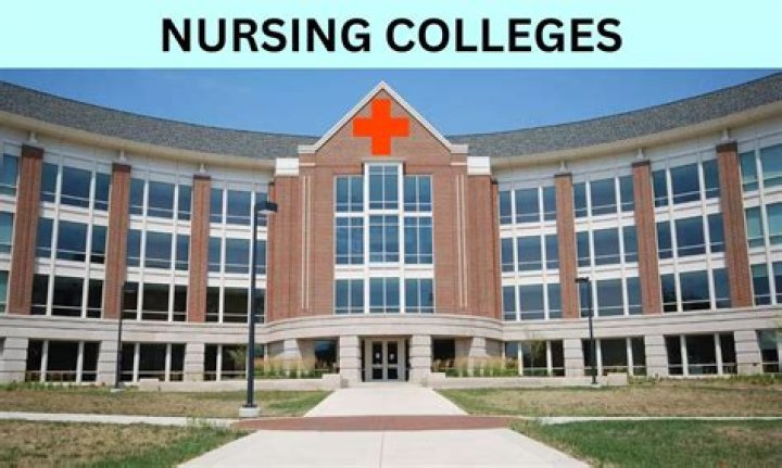 Best Government Nursing Colleges Near Me: Your Guide to Quality Education in Healthcare