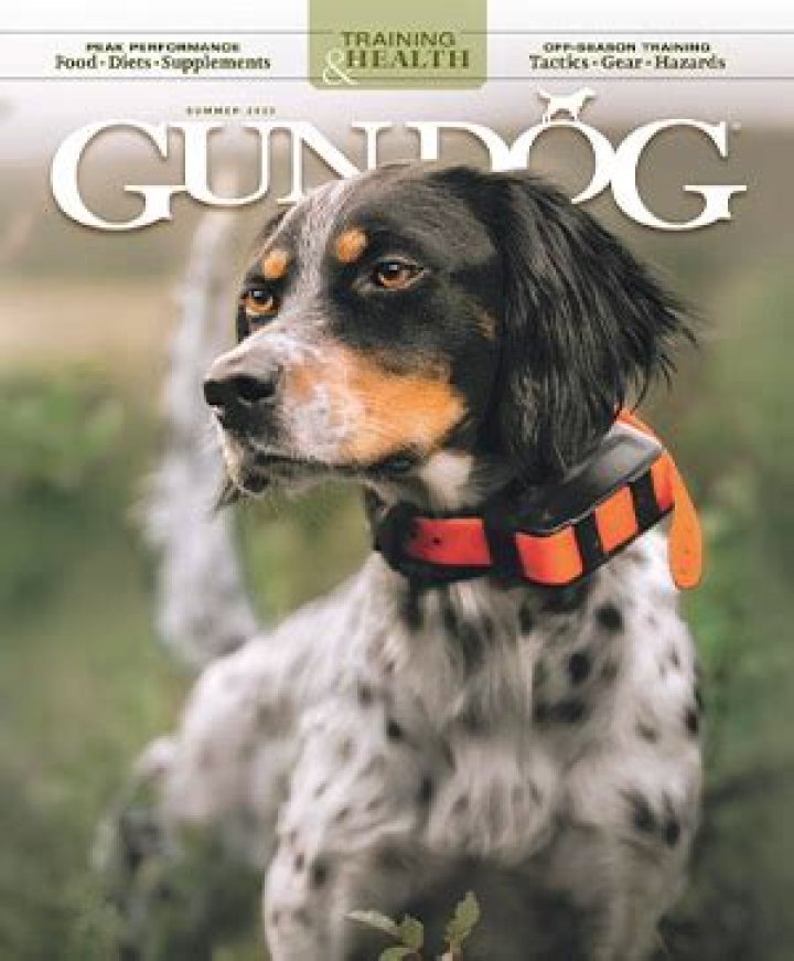 Unleashing the Passion: A Deep Dive into Gun Dog Magazine