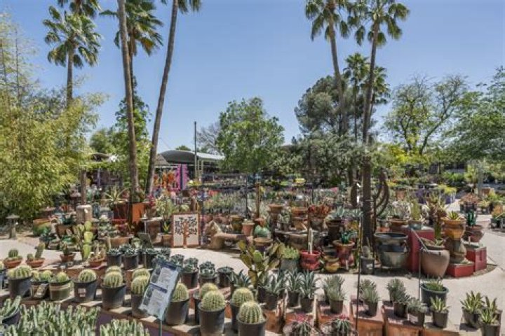 Discovering the Beauty of Harlow Gardens Tucson