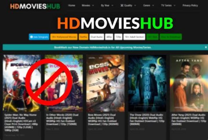 Discover the Best Movies and TV Shows with HDMovieHub
