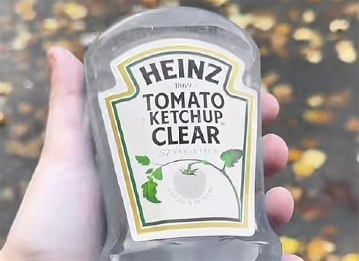 Heinz Clear Ketchup: A Transparent Twist on a Classic Condiment