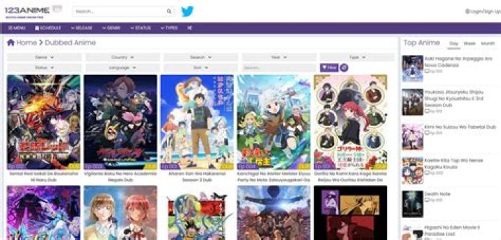 Top Hindi Dubbed Anime Websites to Watch Your Favorite Shows