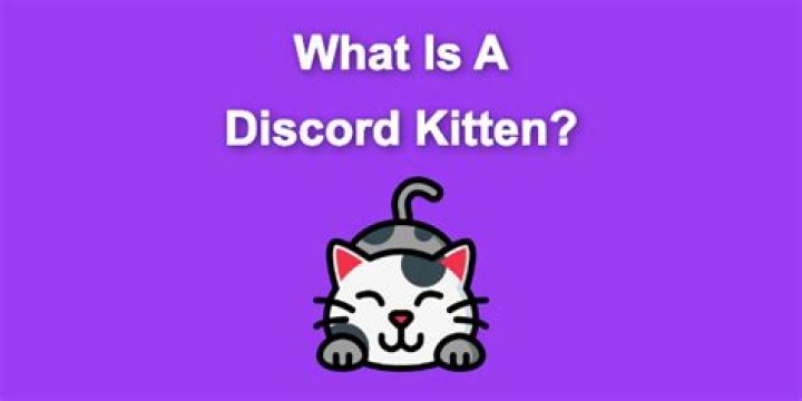 How Much Do Discord Kittens Get Paid: A Comprehensive Guide